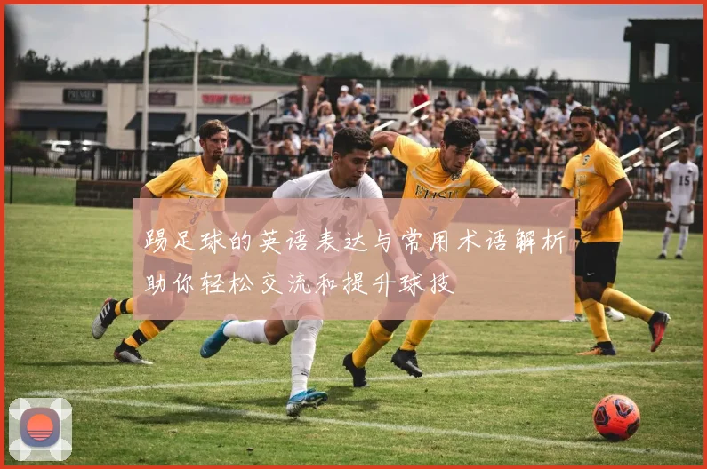 踢足球的英语表达与常用术语解析助你轻松交流和提升球技
