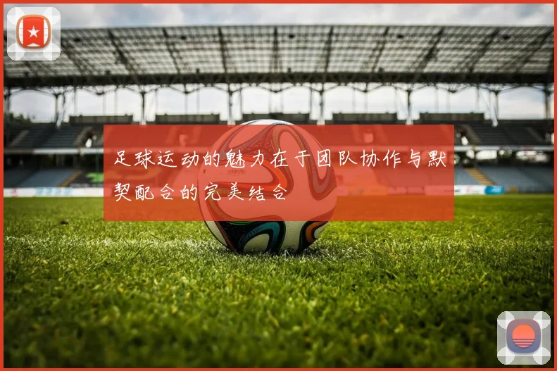 足球运动的魅力在于团队协作与默契配合的完美结合