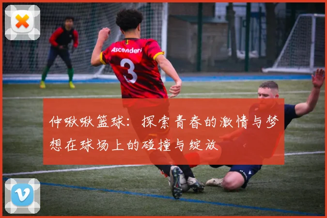 仲啾啾篮球：探索青春的激情与梦想在球场上的碰撞与绽放