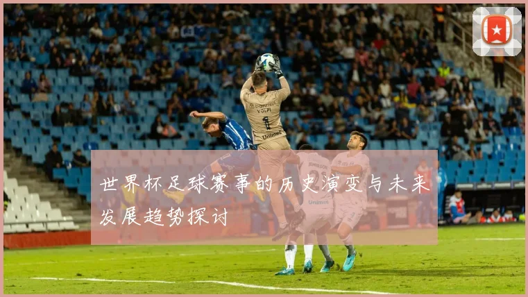 世界杯足球赛事的历史演变与未来发展趋势探讨