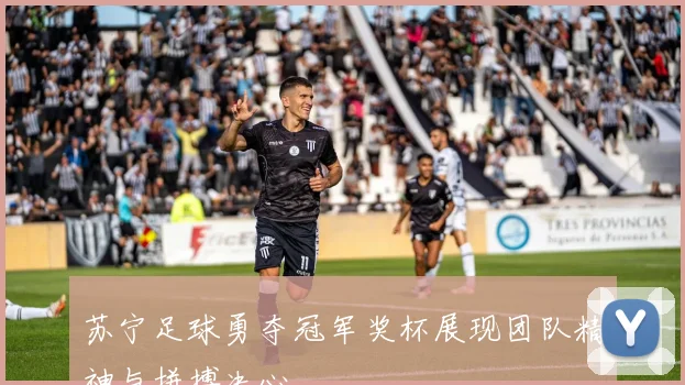 苏宁足球勇夺冠军奖杯展现团队精神与拼搏决心