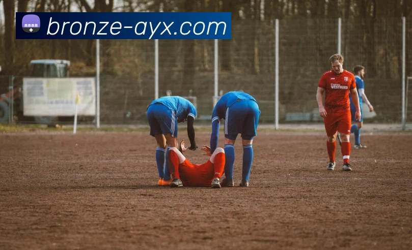 爱游戏平台生态图